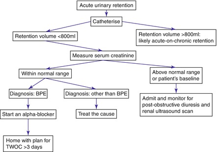 Management Of Acute Urinary Retention | Abdominal Key