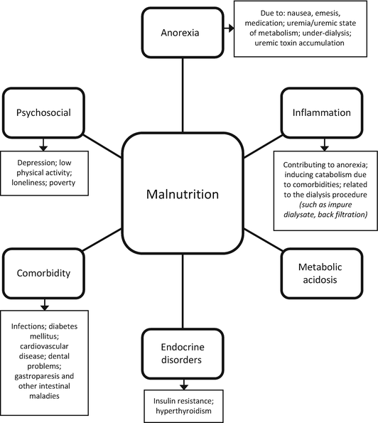 Chronic Kidney Disease: Balancing Nutritional Needs With Nutrition ...