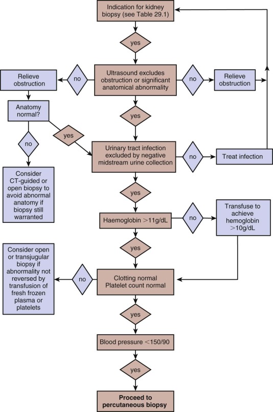 The Kidney Biopsy | Abdominal Key