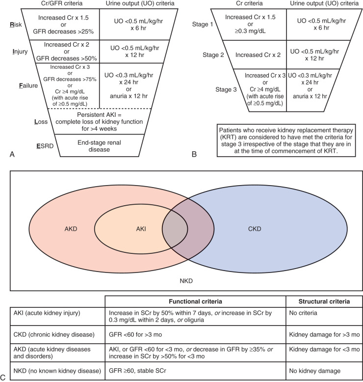 Clinical Approach To The Diagnosis Of Acute Kidney Injury | Abdominal Key