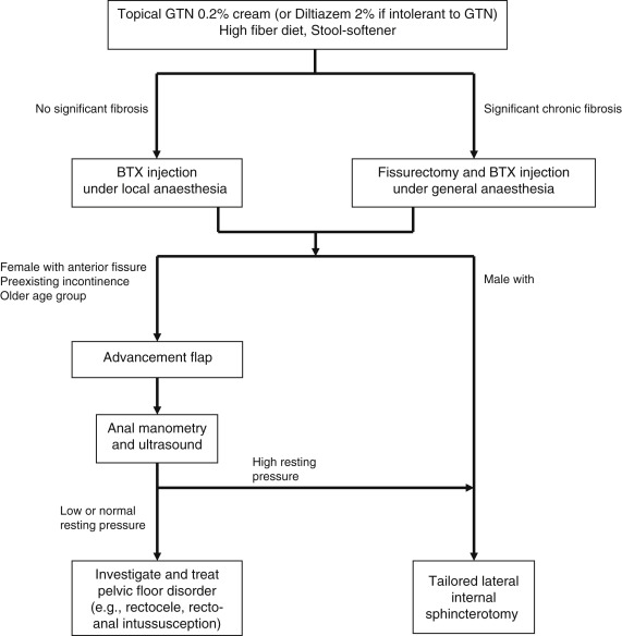 Chronic Anal Fissure | Abdominal Key