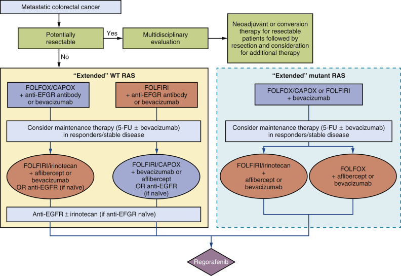 Management Of Metastatic Colorectal Cancer | Abdominal Key