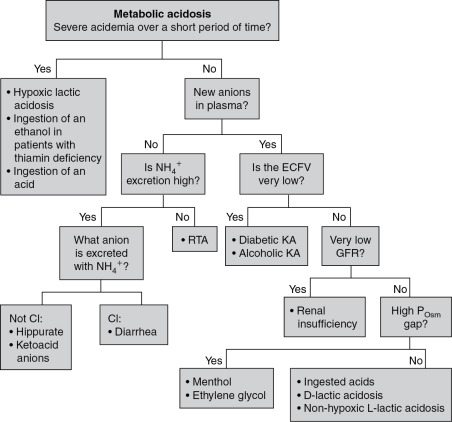 Metabolic Acidosis | Abdominal Key