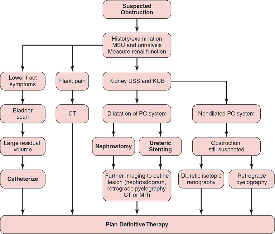 Obstructive Nephropathy: Pathophysiology And Management | Abdominal Key