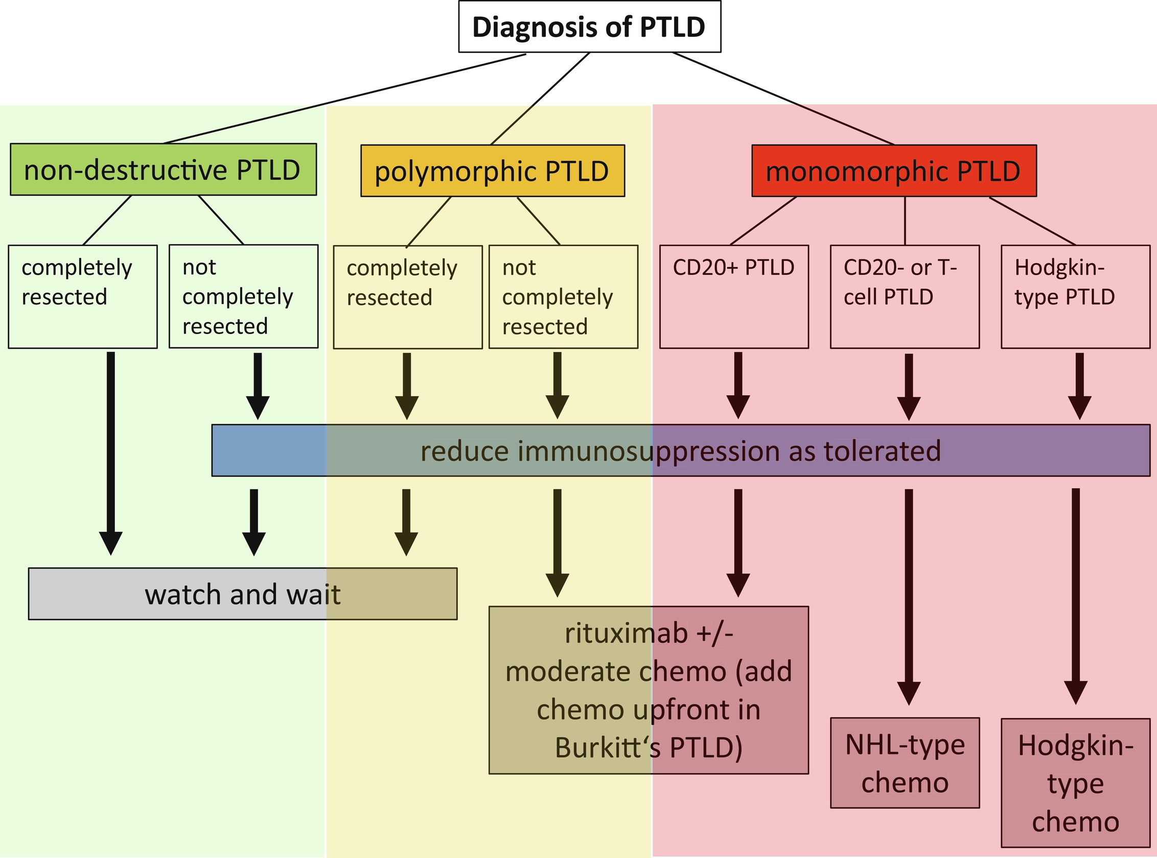 Post-transplant Lymphoproliferative Disease | Abdominal Key