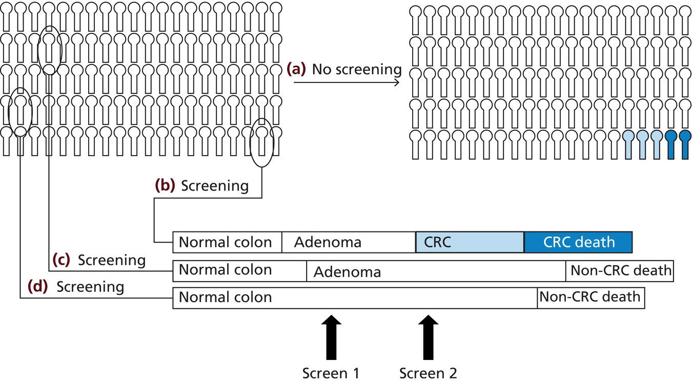 37 Colorectal Cancer Screening Abdominal Key